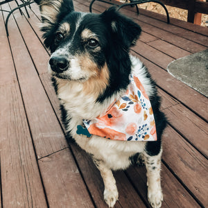 Spring Dog Bandana or Floral Leaf Earrings