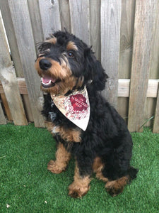 Marauder’s Map Dog Bandana